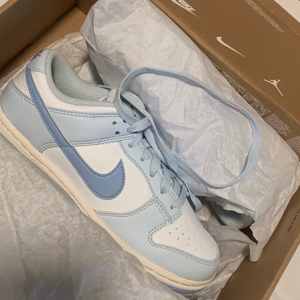 Nike Women's Light Blue and White Dunks